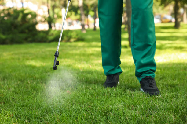 Best Best Pest Control Companies  in South Fallsburg, NY